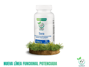 SORA (CURCUMINA, CÁNCER Y DEFENSAS)